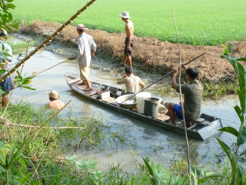 Về miền Tây chèo xuồng ba lá